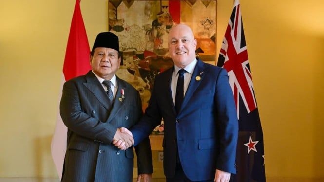 690493d3e8f97-presiden-ri-prabowo-subianto-dan-pm-selandia-baru-christopher-luxon_665_374.jpg