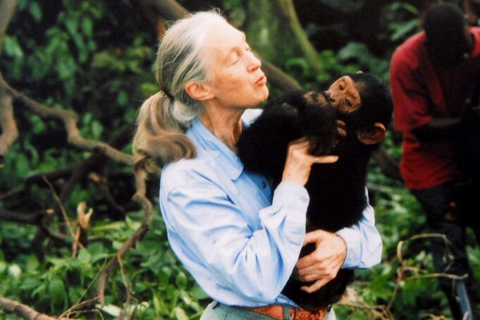 Jane-Goodall-100125-9c7fa9d51b7c4a248e301637fd55944f.jpg