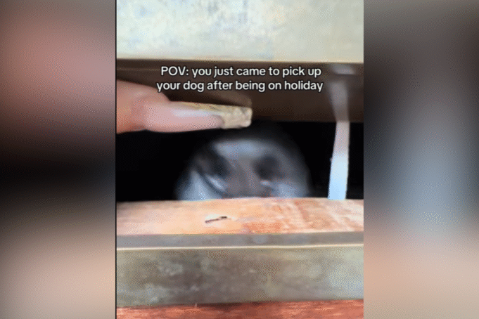 gap.png