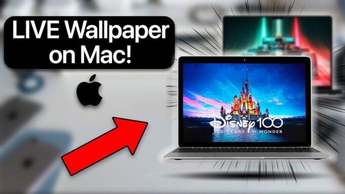 walper-live-wallpaper-macos-customization_optimized.jpg