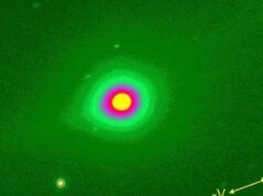 Elon Musk afferma che 3I/ATLAS potrebbe “distruggere un continente” e “sterminare la maggior parte della vita umana”