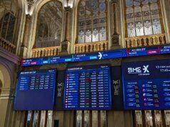 La capra di montagna cerca di alleviare la pressione