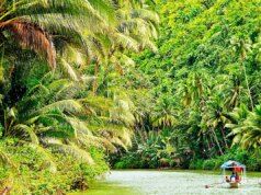 In che modo il Brasile intende rendere redditizia la protezione dell’Amazzonia?