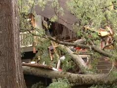 La testiera del letto di una donna NC ha impedito ad un albero di schiacciarla nel suo appartamento di Charlotte