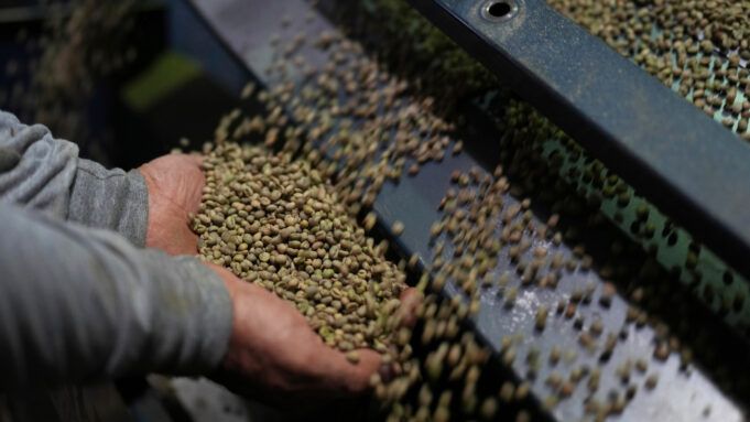18184523_112125-cc-ap-coffee-beans-img.jpg
