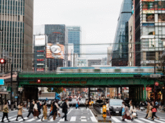 Il Giappone protesta contro la Cina per aver invitato i suoi cittadini a non visitare le terre dei Sakura