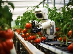 Nuovo centro agtech della Florida con intelligenza artificiale in costruzione