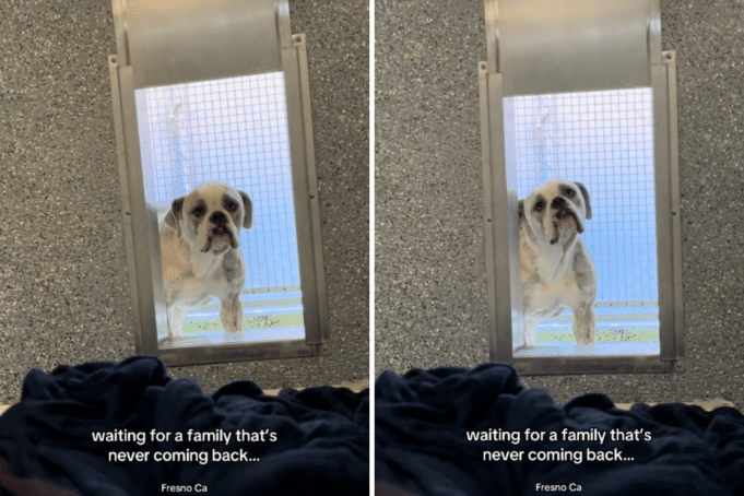 Copy-of-32-Split-Screen-2025-11-06T083045.128.png