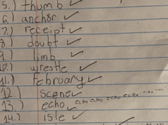 Mentre gli alunni della quarta elementare sostengono i test di ortografia, Internet non riesce a fornire una sola risposta