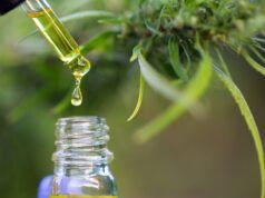 Futuro incerto dei prodotti THC derivati dalla canapa a causa della legge sulla chiusura