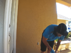 L’autista di Amazon cerca gli avanzi di cibo per i gatti randagi: la Ring Cam cattura ciò che fa