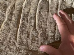 Una mummia di dinosauro del Wyoming ci offre un nuovo sguardo sulle specie dal becco d’anatra