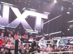 La WWE ha firmato un contratto a tempo pieno con la star del wrestling della TNA