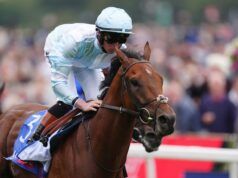 Oggi su Sky Sports Racing: Pride Of Arras e Royal Champion puntano alla gloria in Bahrain | Notizie sulle corse