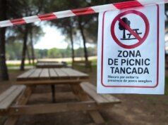 Nuovo calo dei prezzi della carne suina dopo l’epidemia di peste suina africana a Barcellona