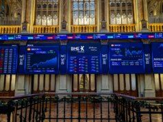 La capra di montagna non vuole allontanarsi da 17.200 punti