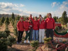 Taglia il tuo albero ed esplora il negozio di articoli da regalo alla Clark’s Christmas Tree Farm