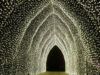 Milioni di luci affascinano i visitatori dei Giardini Botanici di San Francisco