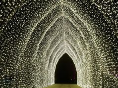 Milioni di luci affascinano i visitatori dei Giardini Botanici di San Francisco