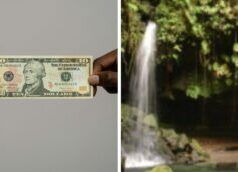 DICHIARAZIONE: Dalla Dominica Hotels and Tourism Association sull’aumento delle tariffe per l’utilizzo del sito