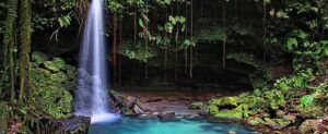 featured-emerald-pool-dominica-e1764622794295-300x123.jpg