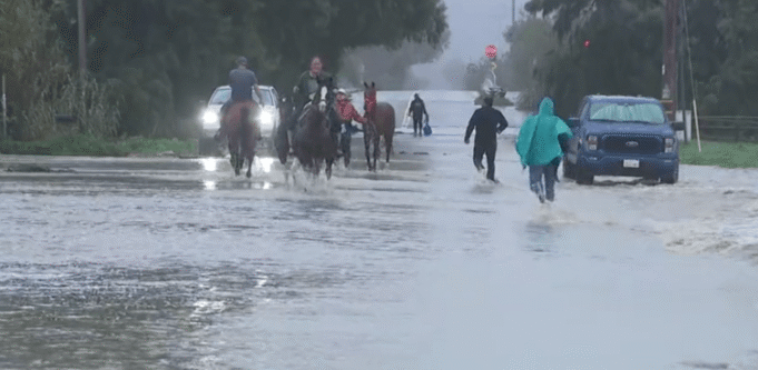 horses-flood-tj-river.png