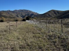 San Diego fa causa alle agenzie federali per la recinzione di filo spinato nella proprietà cittadina