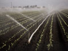 I legislatori vogliono accelerare l’erogazione di obbligazioni climatiche da 10 miliardi di dollari