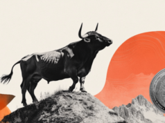 Estende il rally fino a massimi pluriennali vicino a 0,7100