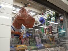 Dino Shop di Rex: visita l’edicola della metropolitana, un vero fossile