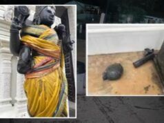Vandalismo nel tempio indù NC | La polizia di Cary afferma che la statua di Dvarapalaka nel tempio Sri Venkateswara nella Carolina del Nord è stata vandalizzata