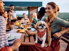 Un comportamentista canino rivela 5 cose che i cani imparano semplicemente ascoltando i proprietari