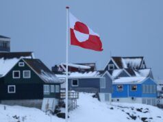 Il pinguino della Groenlandia scatena battute e meme della Casa Bianca sul contraccolpo