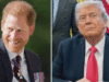 Il principe Harry critica i commenti del presidente Trump sulle truppe NATO