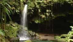 Tre studenti che hanno vinto il concorso per il saggio saranno premiati dalla Dominica Community Tourism Association