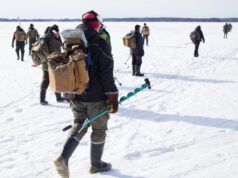 Cosa può insegnarci la pesca sul ghiaccio sulle decisioni di foraggiamento