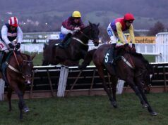 Taurus Bay, di proprietà di Harry Redknapp, ha negato la vittoria di seconda elementare nella controversa finale di Cheltenham | Notizie sulle corse