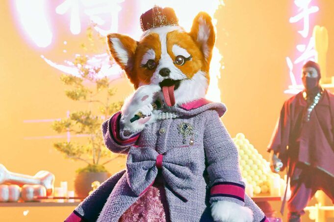 the-masked-singer-queen-corgi-012826-700a307eaa2044c1b320568cdeb9bd5a.jpg