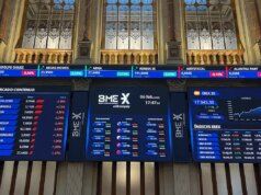 Lo stambecco sembra 18.000