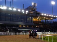 Oggi su Sky Sports Racing: Plumpton e Wolverhampton | Notizie sulle corse