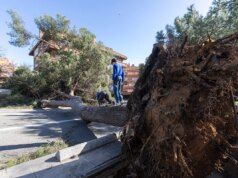 Una donna è morta quando parte del tetto di un capannone industriale le è caduta addosso a causa di un temporale a Barcellona.