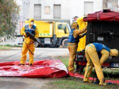 Il ‘ground zero’ della peste suina africana a Barcellona torna a crescere dopo nuovi positivi