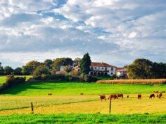 L’interesse per le proprietà rurali spinge gli acquisti ai massimi livelli dal 2007