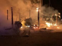 Fuoco di Black Creek Kennels NC | L’edificio crolla dopo l’incendio in un’azienda di allevamento di cani nella contea di Sampson