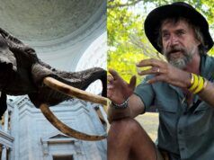 L’ultimo film documentario del National Geographic, “Ghost Elephants”, parla del viaggio di Steve Boyes alla ricerca di animali difficili da trovare.