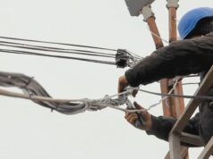 Nuovi investimenti da parte delle organizzazioni non profit mirano a potenziare la forza lavoro energetica dello stato