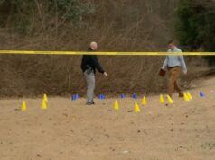 Gli incendi hanno danneggiato case e veicoli nel quartiere di Raleigh