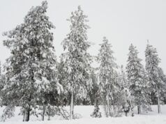 Valanga di Castle Peak: la siccità della neve ha portato a condizioni instabili, ponendo le basi per una valanga mortale in California