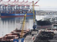 È improbabile che la sentenza della Corte Suprema contro le tariffe di Trump metta fine al caos della politica commerciale