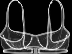 Titolo di lavoro futuro: Biomeccanico del seno